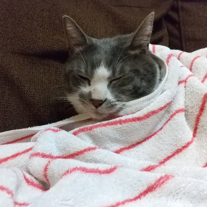 7345e242 e6b4 40ea 9945 d5beb8773a07 1634595020442