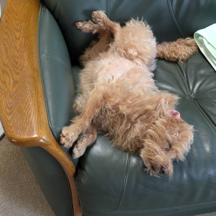 73460b4c 1e47 454f 954d d8fe5f41ad3b 1756246955948