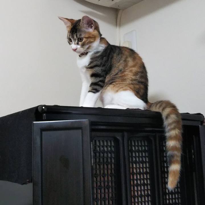 734610de ca24 44c0 ab61 efc70d675af1 1630362593416