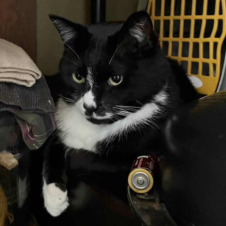 73466839 01ff 4acd be62 7dce8eb1d06f 1755670315080