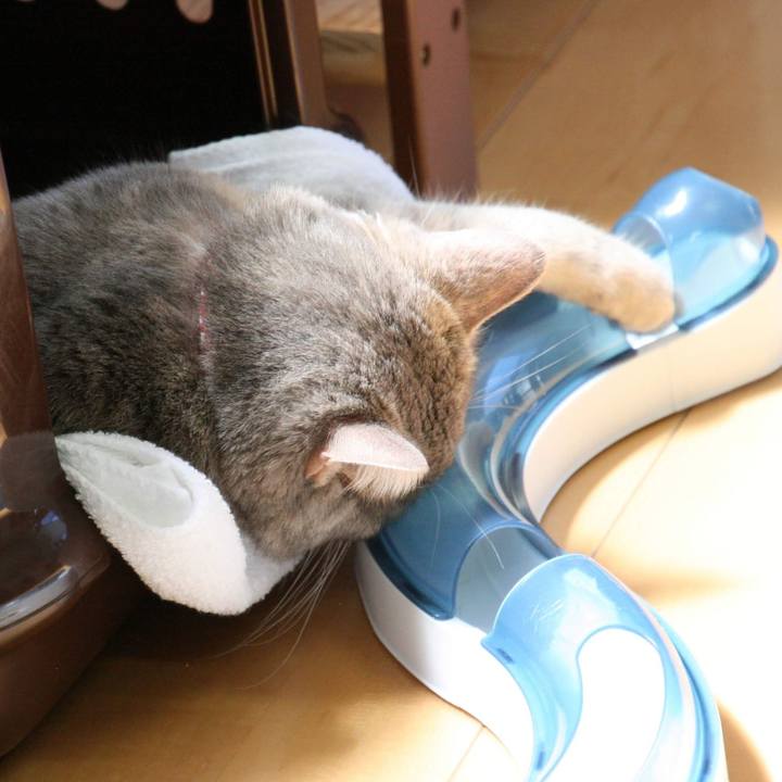 734693fa 7d62 4003 b550 a5188fc693eb 1536151929012