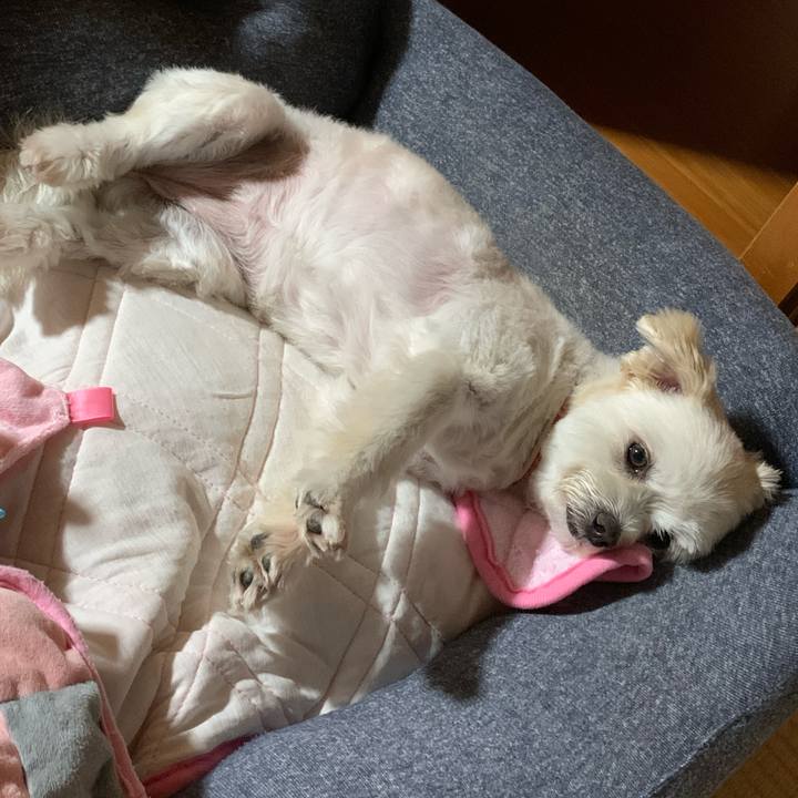 7346ac1a 1407 41a6 ac1b 8c2f07685e5e 1623667976387