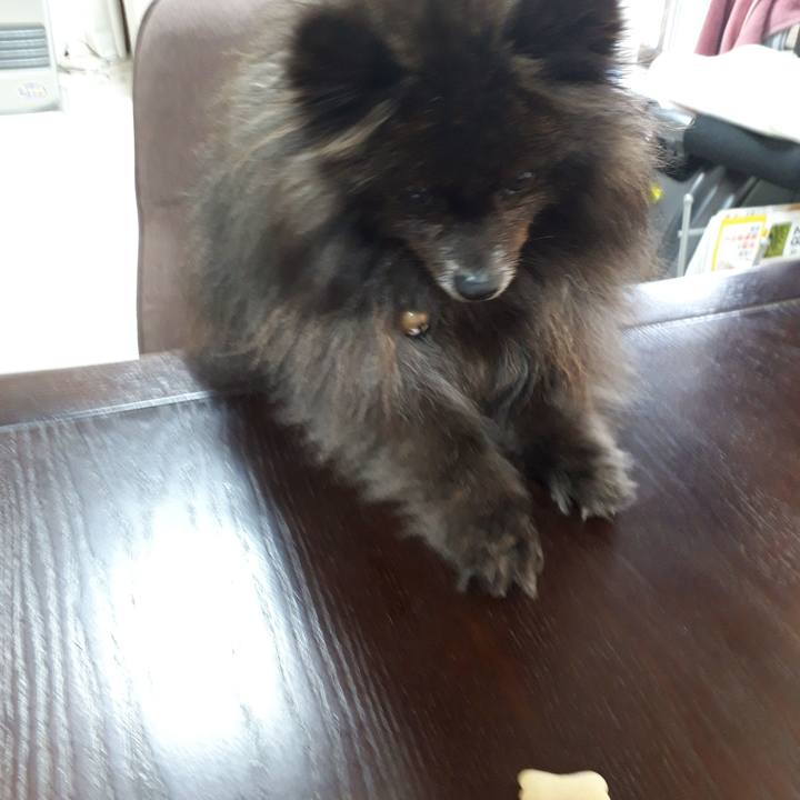 7346b7c8 b417 4080 a62d 5c1489bd1b51 1519174557363