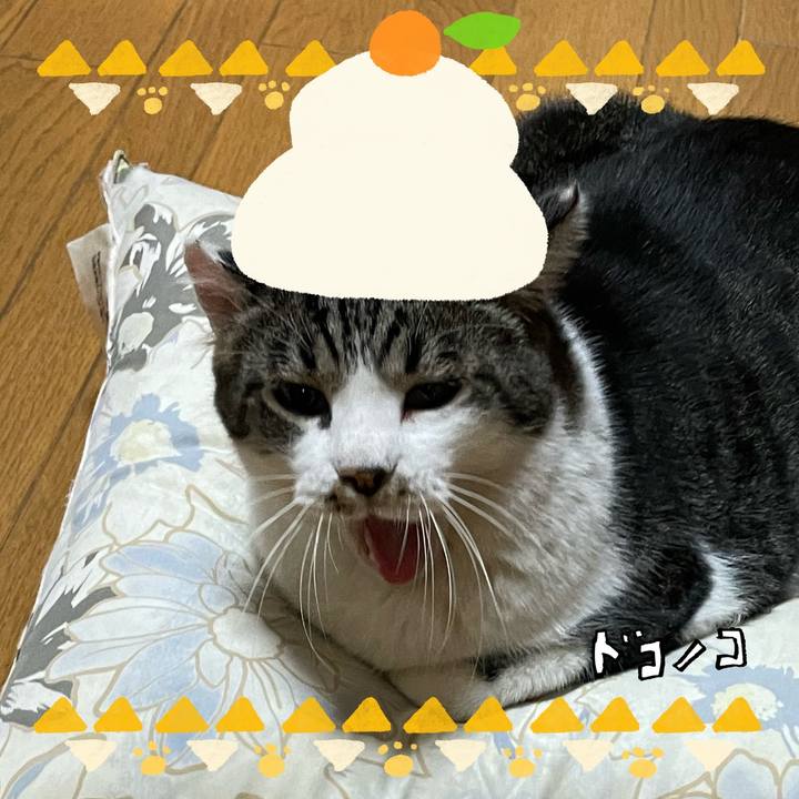 73472ce5 f4e2 44e5 b7b4 36785f34475f 1704082969230