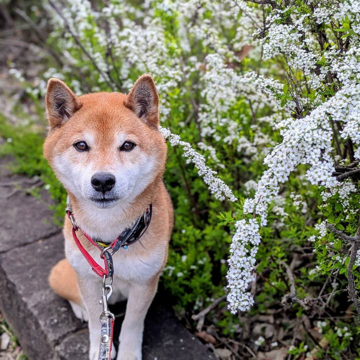 7347364e 9892 499d 8924 284f3a3ca6e3 1743158819935