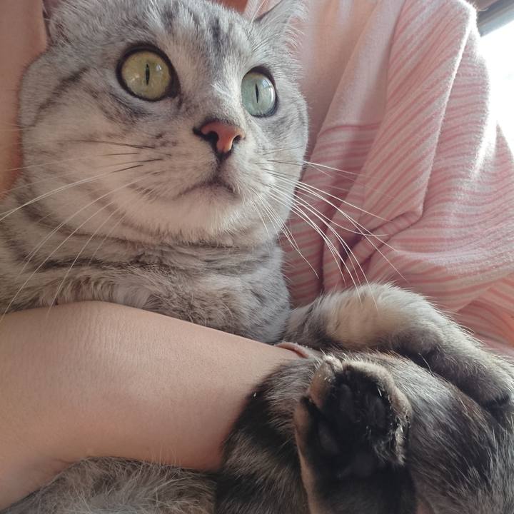 7347613c 38f2 4b25 90a2 702fb947bbc0 1569105692584