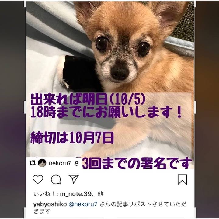 73477077 0db2 4c1c 94fb 3da0ea23a036 1601869163083