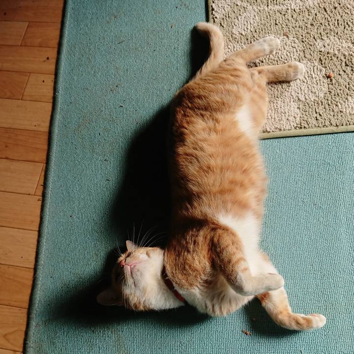 73478935 0543 47d3 8832 4d2b848d91f9 1570926549678