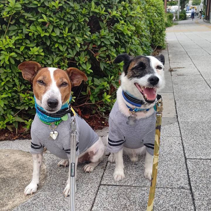 73478bea 8a2f 4401 acf1 93c7f0bcb7fc 1694824707209