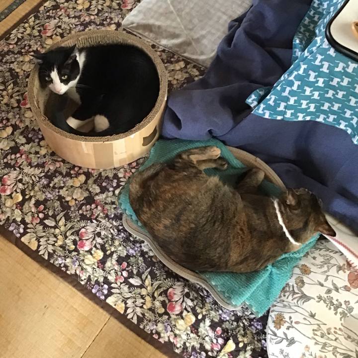 734791c6 a6c8 4fc1 8f6a 7384d86e0617 1746324105486