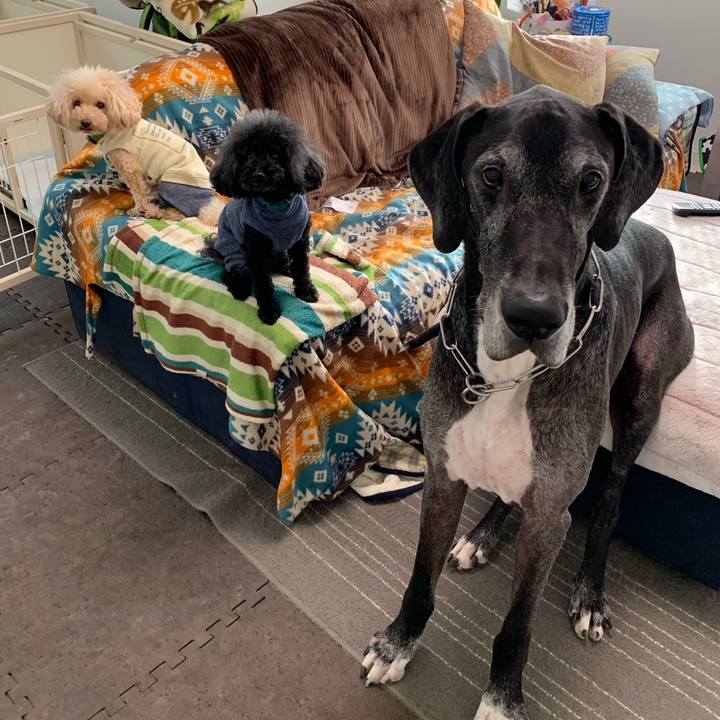 7347b4e2 d73b 4dc6 b5c0 7f5b41f4a986 1603666304736