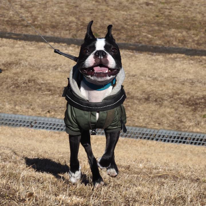 7347b9c8 1a70 4470 9591 6445d1c3de30 1611993930405