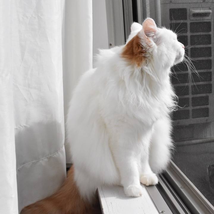 7347bc19 4013 47a9 b896 359df7e03cb4 1762129559858