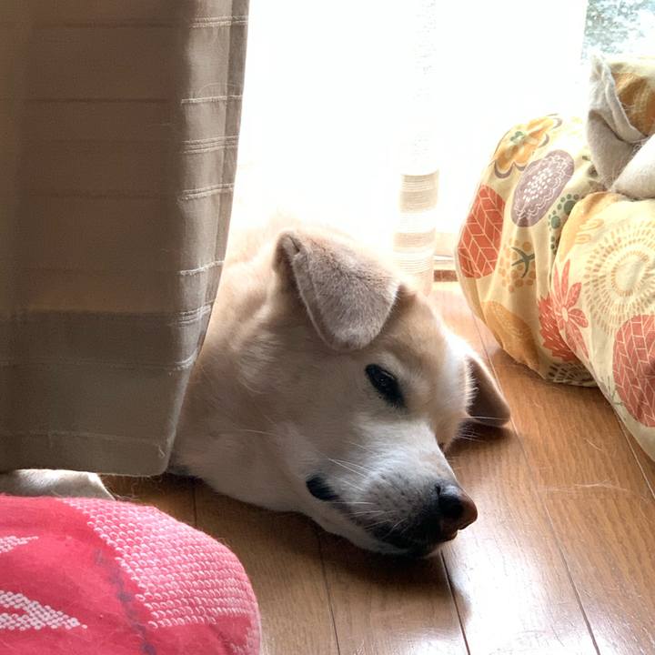 7347d700 13ad 43ef bae4 771f8f94fffb 1660258979079