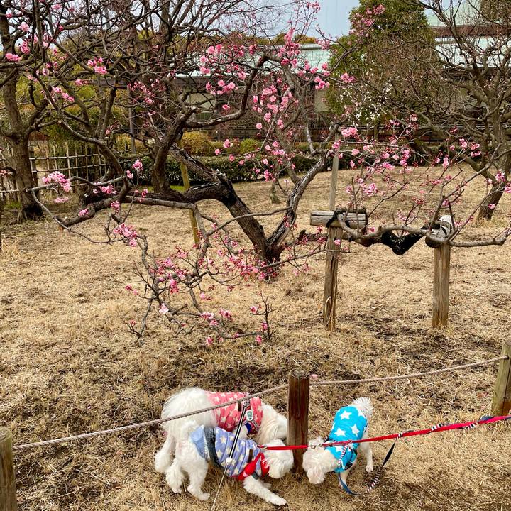 7347ee9c 985a 4a10 b206 bd5c1053f500 1645412882369