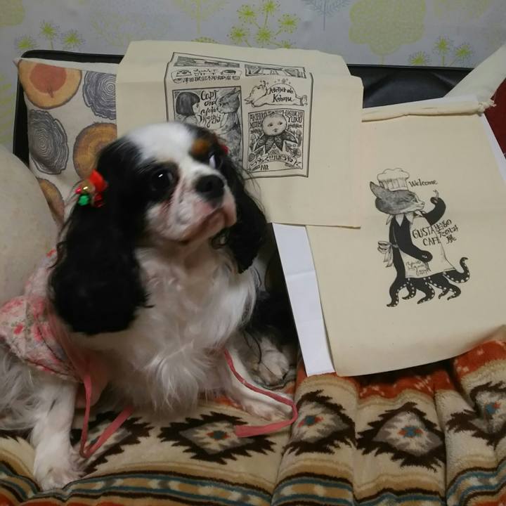 7347eeb0 3f69 44fb acdb a7102f6e4d3b 1514374819573