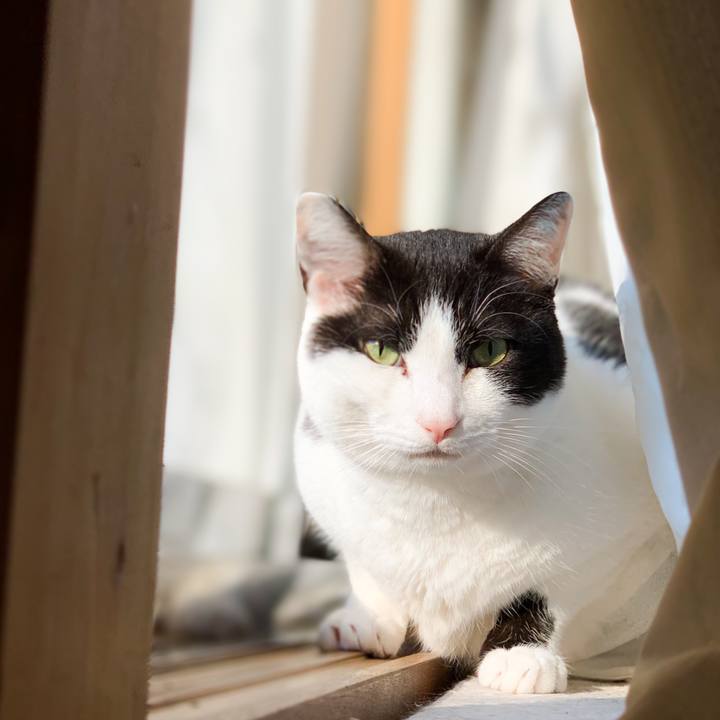 7347ff56 892e 444c 9941 64b5637abd6e 1590715725503