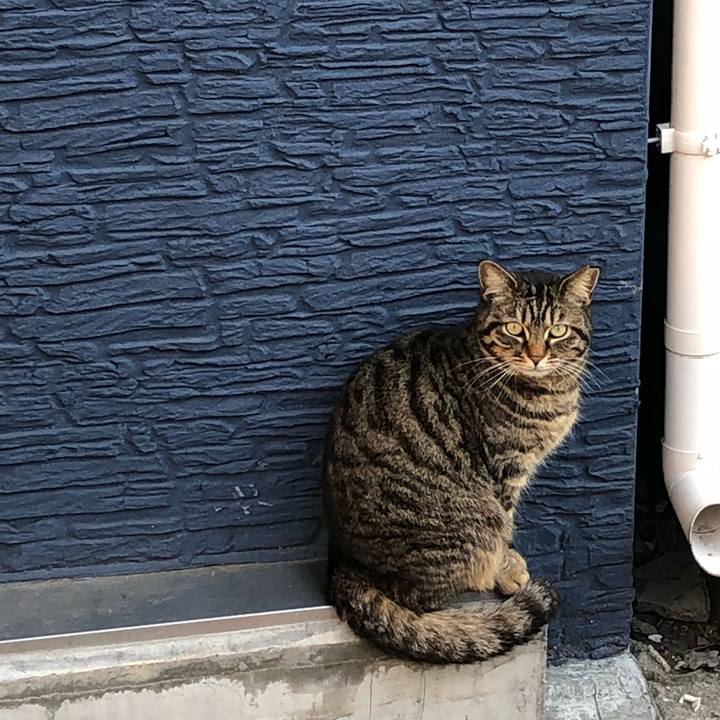 7348165f 2346 4058 8c8c 5a6d68ab18a6 1522831981566