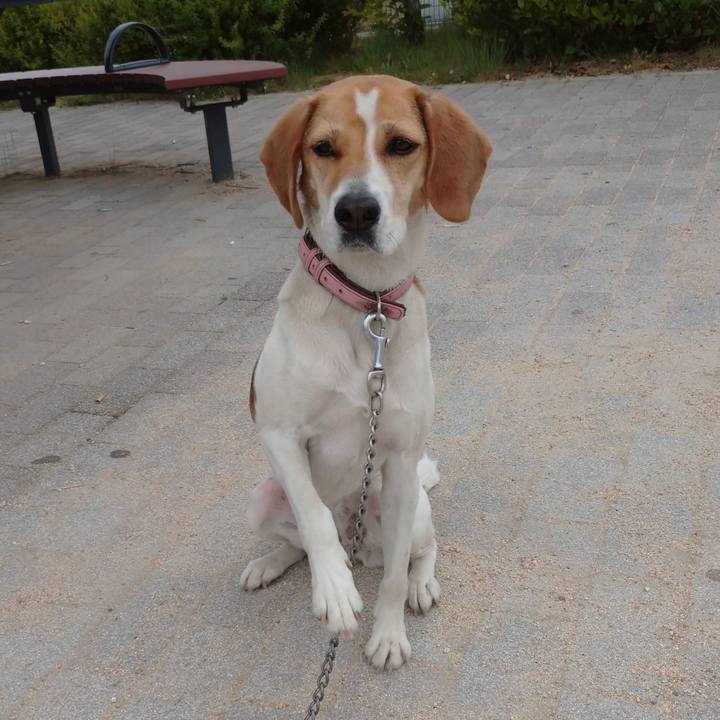 73488c35 137c 4b29 b20d 7eb466424c7c 1590467801478