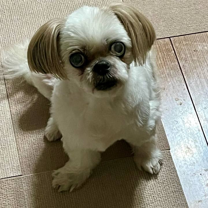 7348bbdd b96b 4221 807f 3aee3b96b219 1725860931757