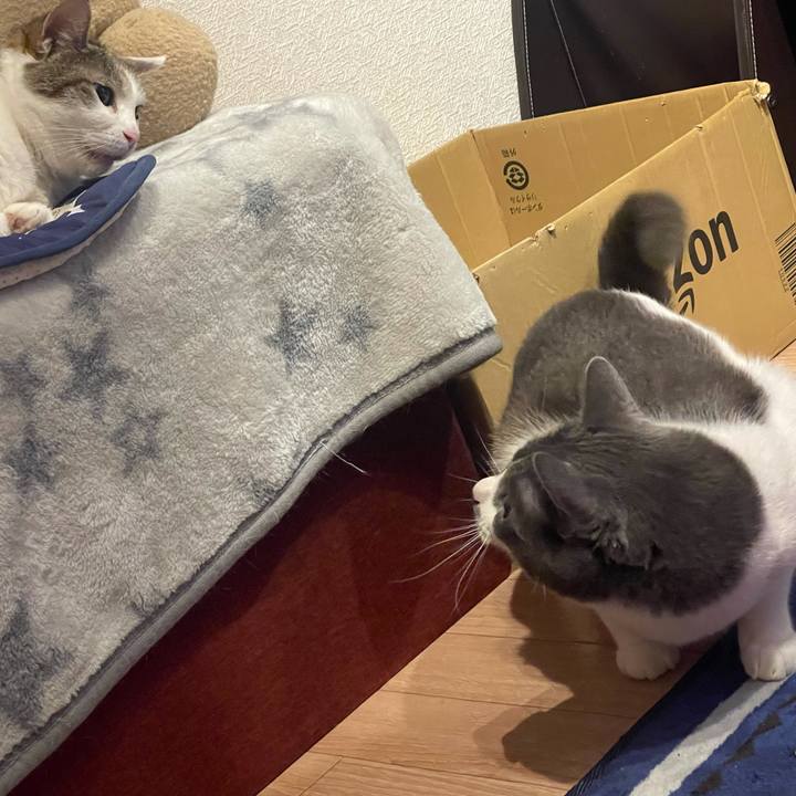 7348ca09 1b24 4353 b65d cd85596e2456 1625401307307