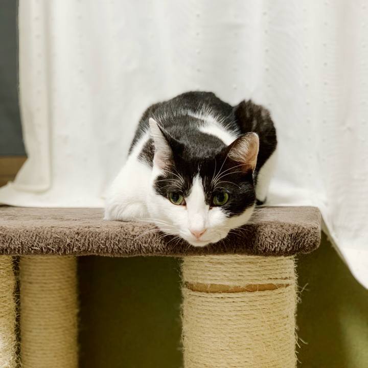 734905fe 64d2 418a b9d0 fea2f033366f 1540961466618