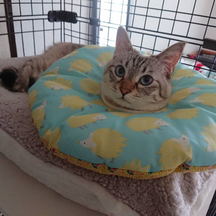 734930e5 8b2d 4f5b 9670 47fe4dee75e1 1601173160780