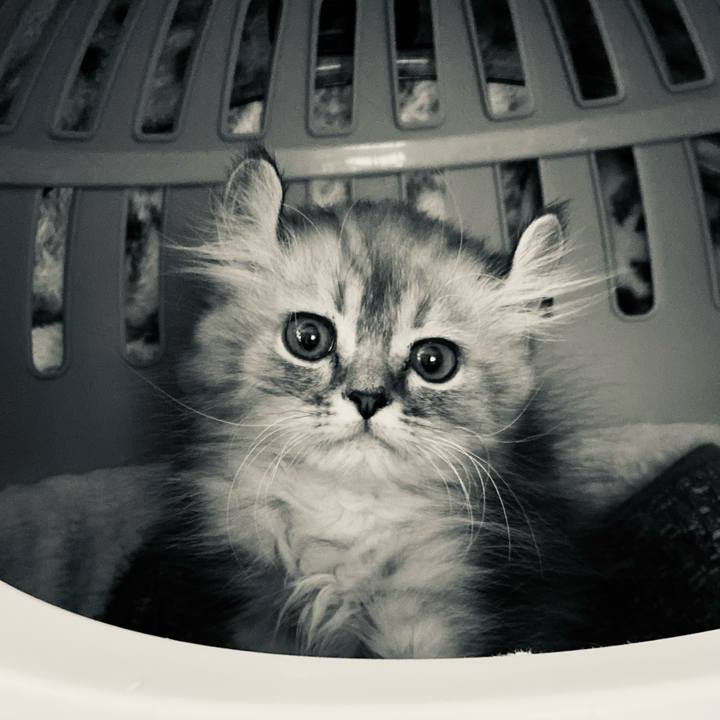 734939c4 073b 41d1 b8e8 1a2e425cd114 1708604341652