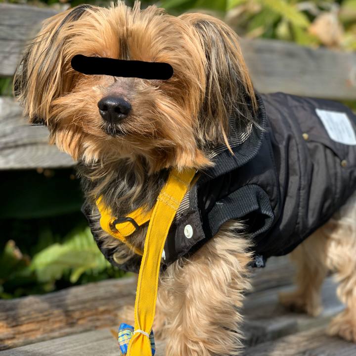 7349993e af2b 46d9 b815 ab87477454d1 1581414589677