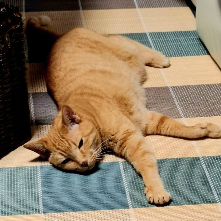 7349a4c6 60c0 4de7 a8e1 d732ef7856dc 1751340258146