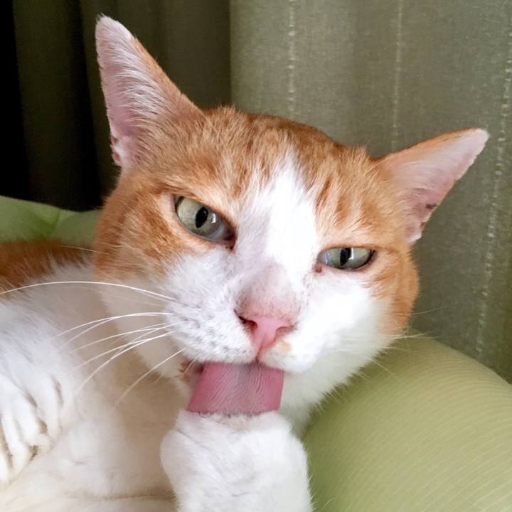 7349aaf3 7f14 4808 bab7 9ac91a8f30bd 1565156859890