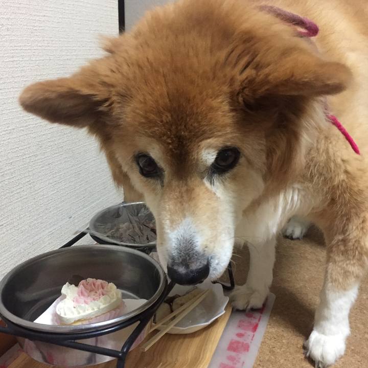 7349c91e 6c76 4080 9050 4ea8402a4f2f 1668066211226