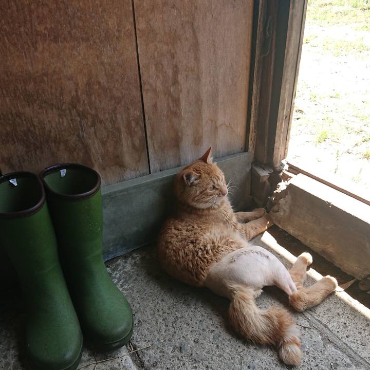 7349ef84 eda6 4ca8 ac6b e8081484585a 1653878107148