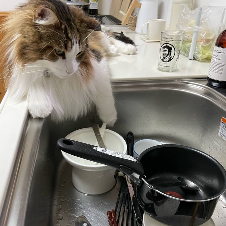 7349f883 de7f 41d7 8295 96b52f7bb666 1675115931925