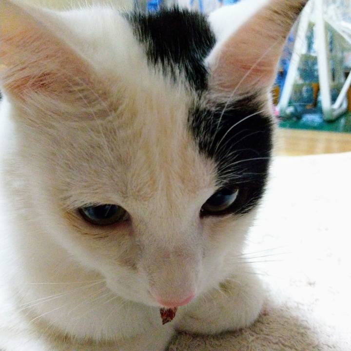 7349ff8f 5f3a 44d5 9c98 a3c05aad12f6 1519076975351