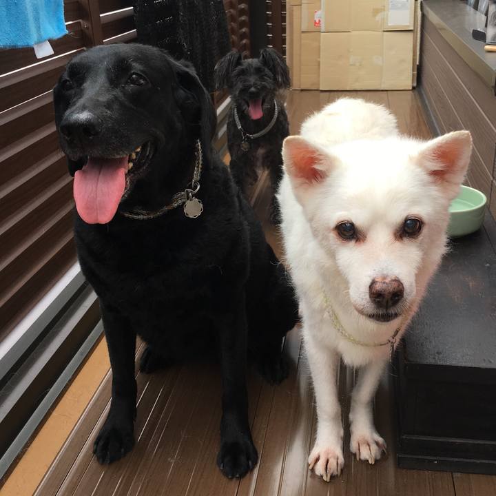 734a0163 825b 4f53 842d 6cc8d76bc880 1534318717351