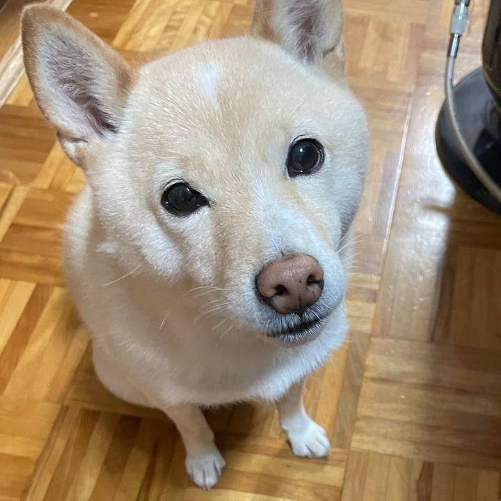 734a0180 2800 4f9a 9d47 2b06dfda0445 1669419792912