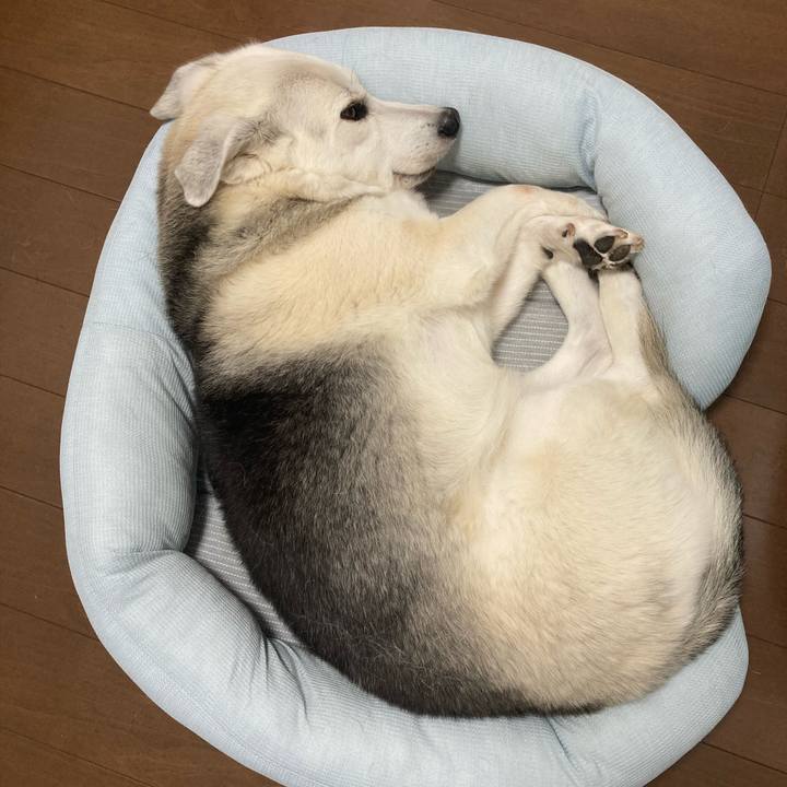 734a05d1 fea8 45b7 b9ad 812f8c1a54dd 1724670340035