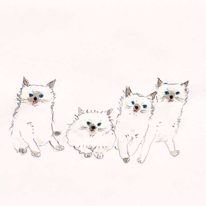 734a150a 4cae 467a 83c3 fb2886d23178 1619737149008