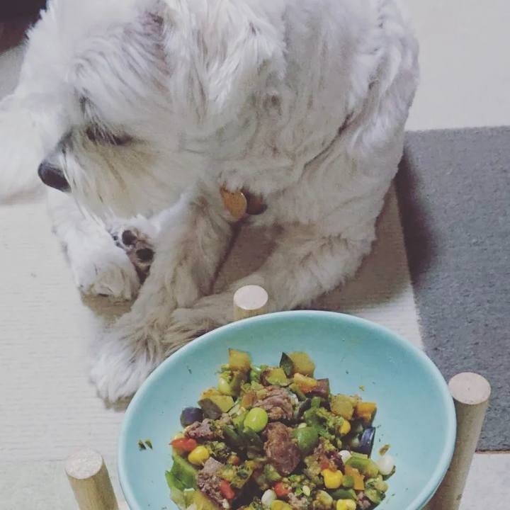 734a1d23 c2be 4fb0 9014 3c89257d30bf 1660908552401