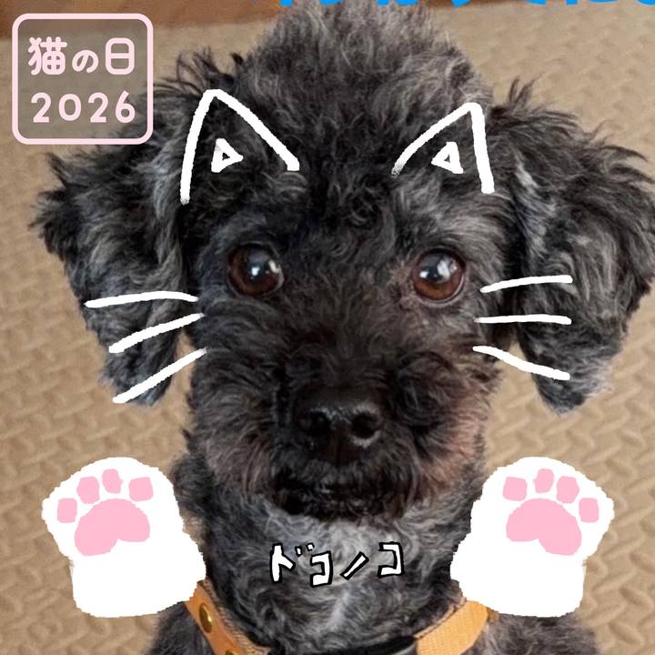 734a3a92 7a23 4d00 a738 3ff499fb96a5 1771744473269