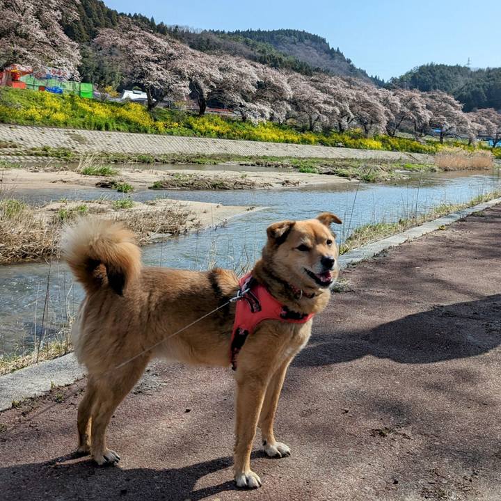 734a437a 925f 4dfc a92e 9daa1f864db5 1713278521122