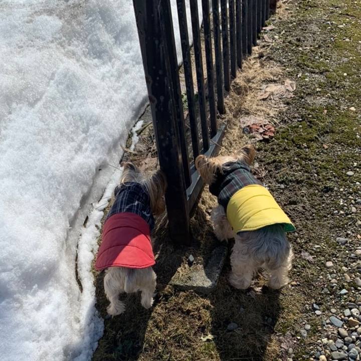 734a5398 f113 49dd 8c5f 598fdd3c74eb 1649153882776