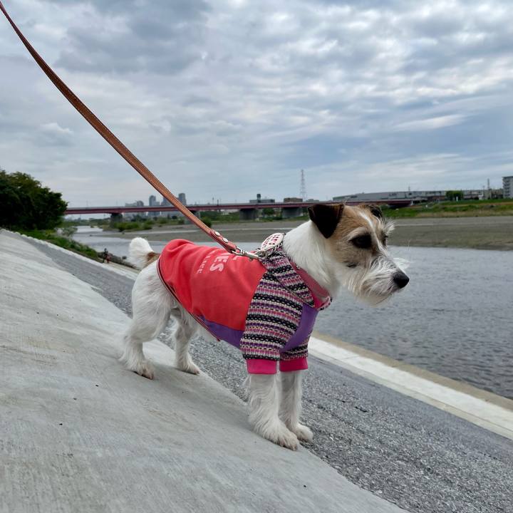 734a81a5 921c 4e4f 915c 0d5a5ac772e6 1650179106709