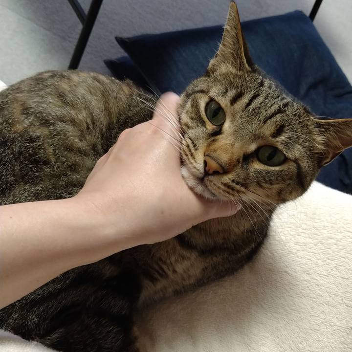 734ac8ce 7445 4587 9ff5 77b902009085 1625215223087