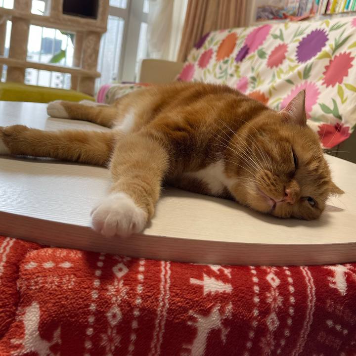 734ad8c5 b809 4d32 88a8 15fe9423409a 1668300072992