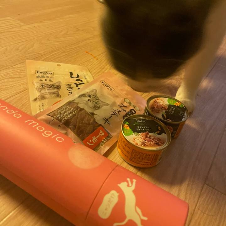 734b1862 7781 423a 84ef 2d06f0f7669f 1684840595998