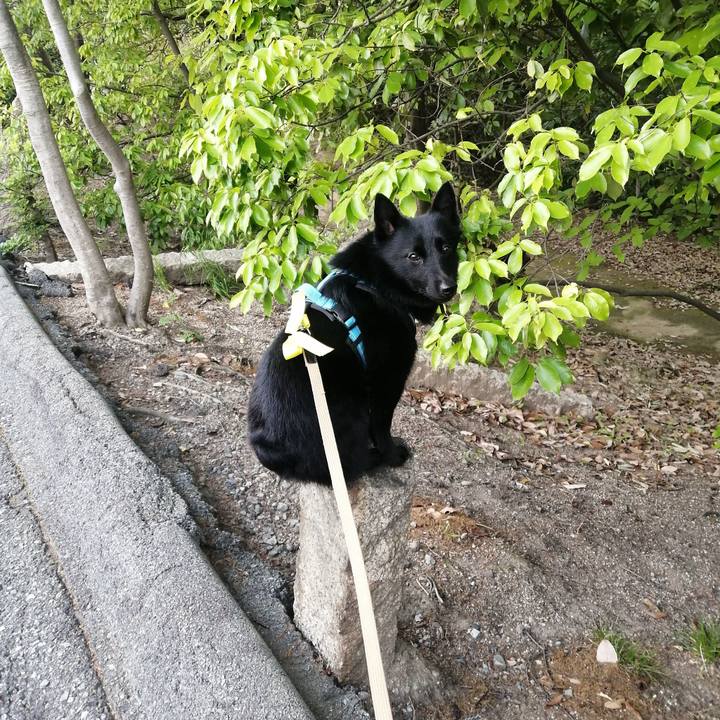 734b2103 fc05 4e57 bff4 4594429a5164 1652130574207