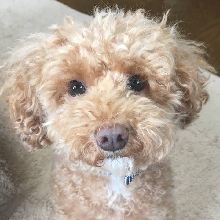 734b2338 7723 4252 b67c c4d72bbbff0a 1540947916954