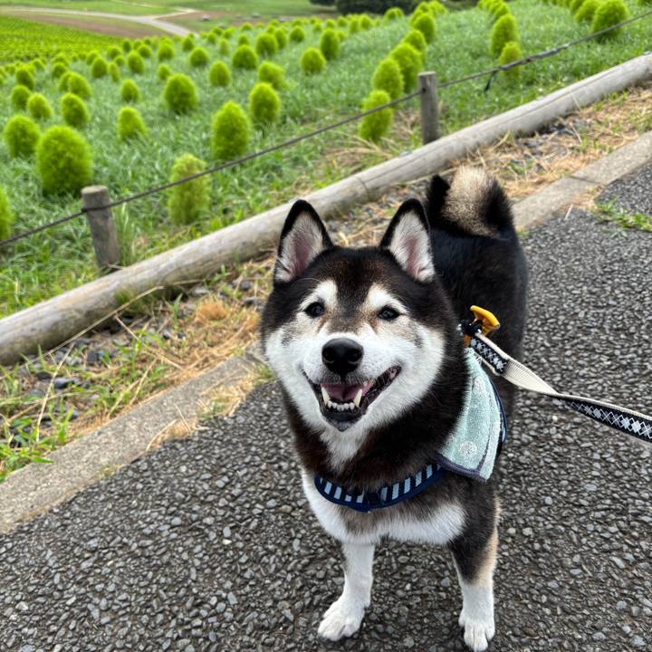 734b2d2b 5a1d 4819 9187 d7907985cdeb 1752565400690